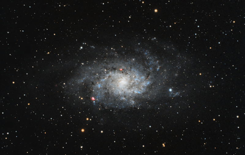 M33 Triangulum Galaxy
Details:

Dates:Dec. 20, 2020 Sidcup

Frames: 94x180" (4h 42')

Integration: 4h 42'

Avg. Moon age: 6.01 days

Avg. Moon phase: 35.57% 

This is the second round of processing this image. More data required, but am happy with the 4.75 hours I had.  

Interesting Galaxy. Looks like their has been interaction with another galaxy in the past which has throw out the spiral arms.
