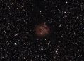 Cocoon_Nebula.JPG