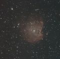 Monkey_Head_Nebula_130125.jpg