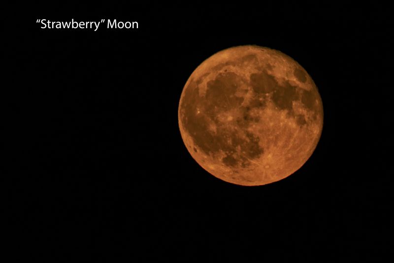 Strawberry Moon Telephoto
A telephoto view of the Strawberry Moon
Link-words: Moon