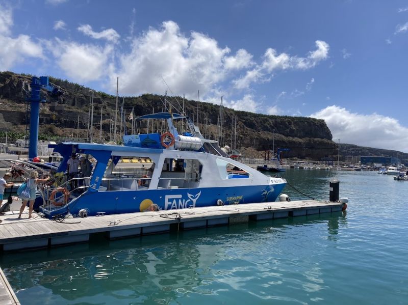 Whales and Dolphins trip
Tour boat waiting for us to board at Tazacorte Harbour
Link-words: LaPalma2024