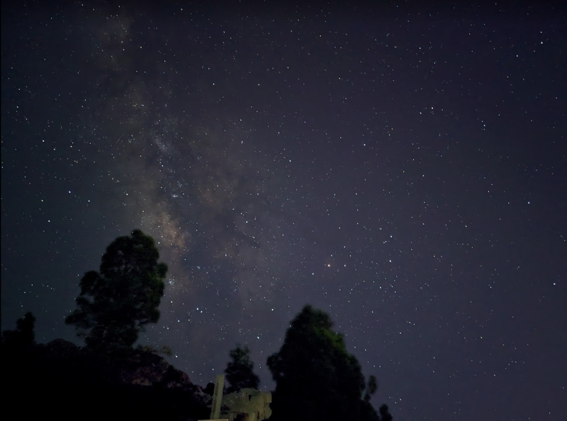 Scorpion's Tail La Palma
Taken wiht google Pixel 4a camera at 1300m high middle of island.
Link-words: LaPalma2024